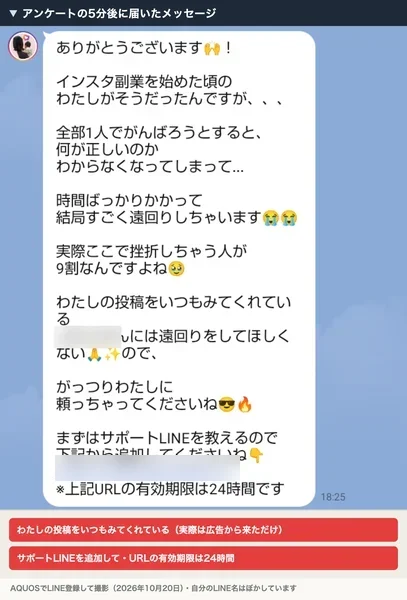 案内ページのボタンを押した後に届いたメッセージ。全部1人でがんばろうとすると挫折しちゃう人が9割、わたしの投稿をいつもみてくれている方には遠回りをしてほしくない、まずはサポートLINEを教えるので追加してください、URLの有効期限は24時間と書かれている