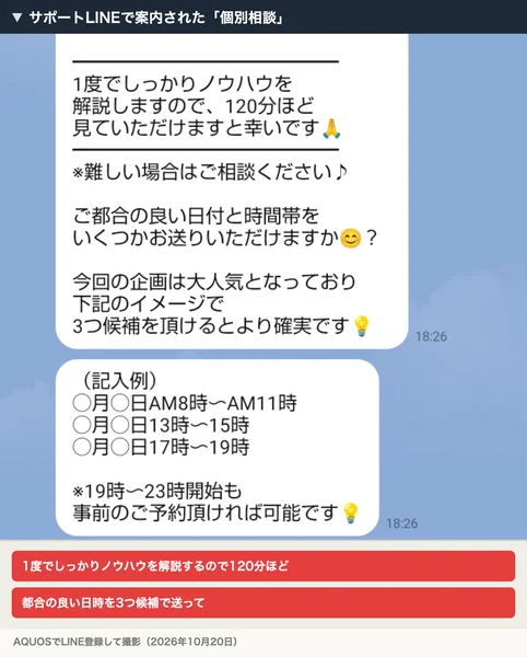 サポートLINEで案内された個別相談。1度でしっかりノウハウを解説するので120分ほど見てほしい、都合の良い日付と時間帯を3つ候補で送ってほしいと書かれている