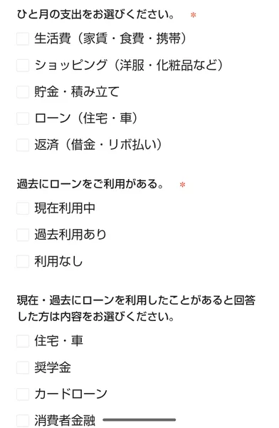 無料モニター申請フォームのひと月の支出と過去のローン利用とローンの内容を聞く欄
