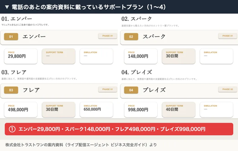 電話のあとの案内資料に載っているサポートプランの1から4、エンバー29,800円、スパーク148,000円、フレア498,000円、ブレイズ998,000円