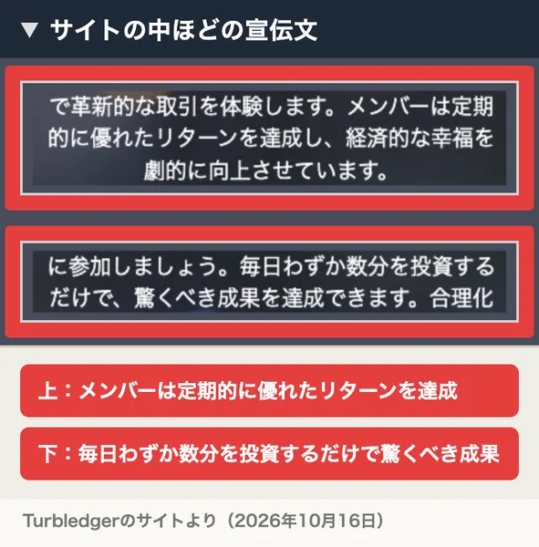 Turbledgerのサイトの宣伝文。メンバーは定期的に優れたリターンを達成し、毎日わずか数分を投資するだけで驚くべき成果を達成できますと書かれている